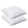 Herzberg HG-65X2: Almohada de Espuma Viscoelástica Triturada de 2 Piezas