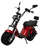 Electric Bike Duos Fx2 1000w Autonomy Of 65km/h