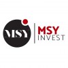 Msyinvest