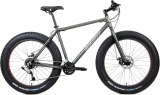 Speed Aluminium Fat Bike snow Mountain Bike